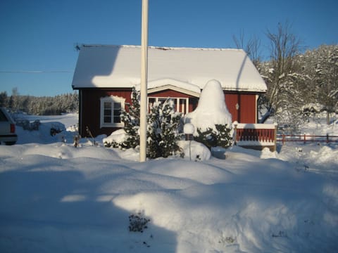 A snowy picture from the winter of 2009/10