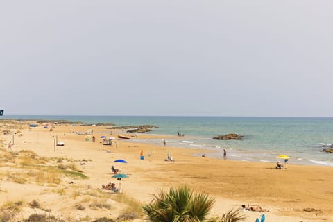 On the beach