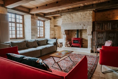 TV, fireplace, books