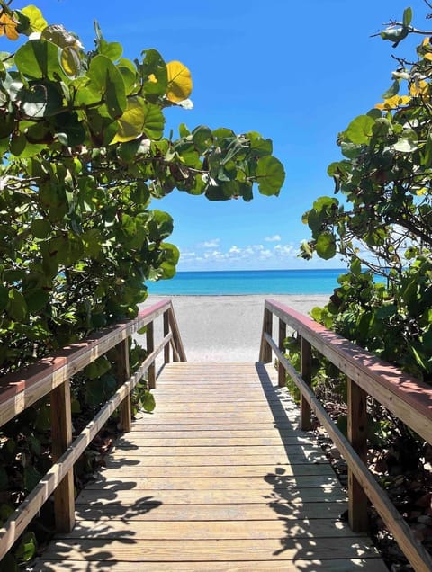 Beach nearby, sun loungers, beach towels