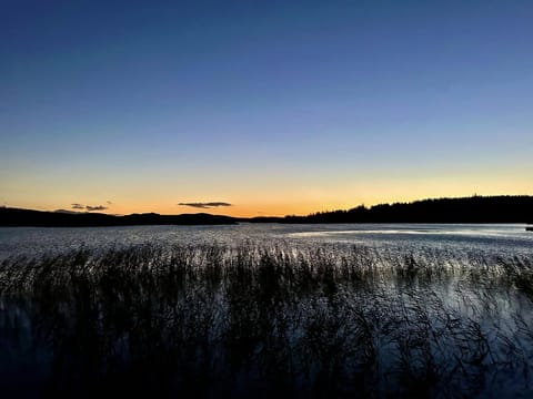 Watching the world go by at sunset.