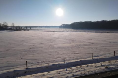 Region [summer] (>5 km)