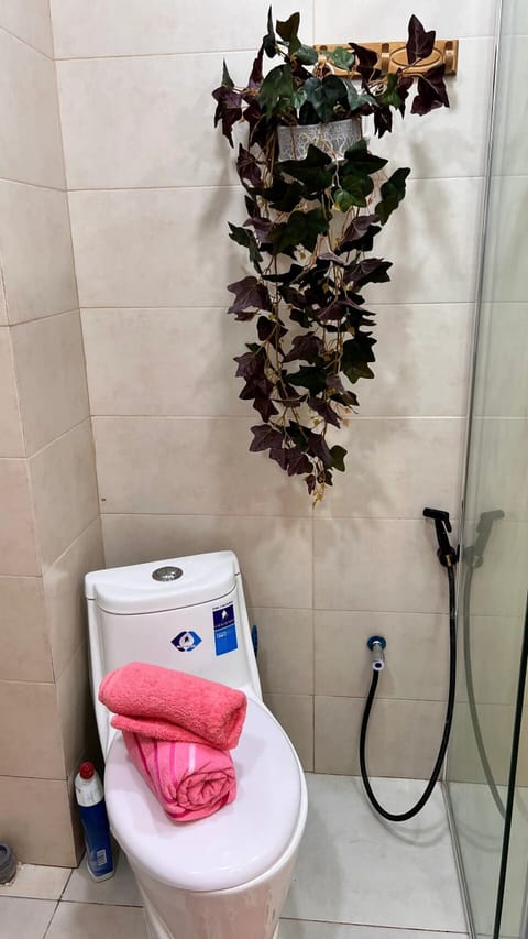 Shower, hair dryer, bidet, towels