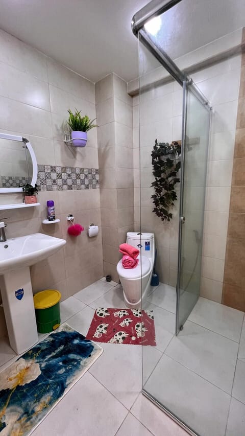 Shower, hair dryer, bidet, towels