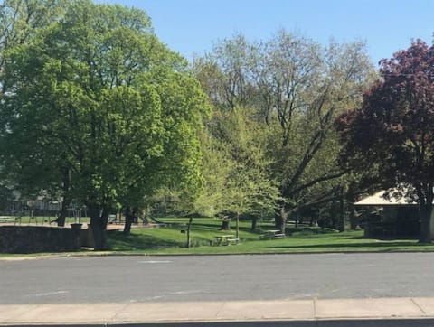 Lion's park across the street 