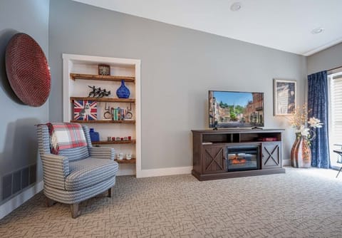 TV, fireplace, books