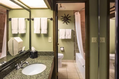 Combined shower/tub, eco-friendly toiletries, hair dryer, towels