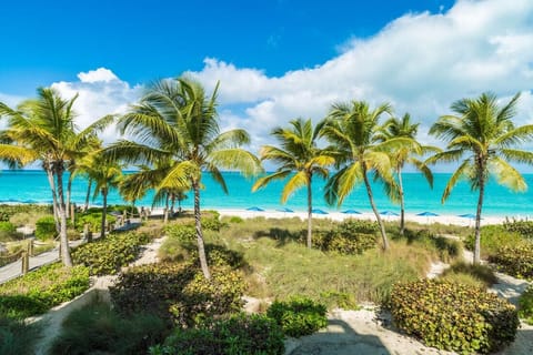 On the beach, sun loungers, beach towels