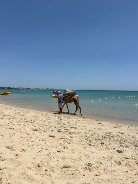 Beach nearby, sun loungers