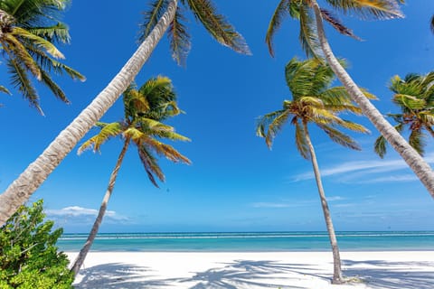 Sun loungers, beach towels