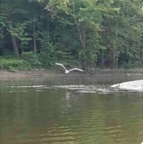 Pic taken by a wonderful guest while kayaking.