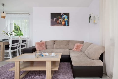 A cozy living room with a gray sofa, colorful cushions, and a bright window bringing in natural light.
