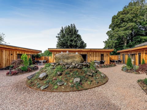 Setting | Daffodil - The Secret Garden, Llagadfan, Welshpool