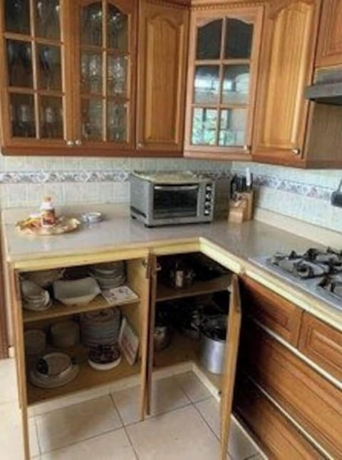 Fridge, blender, cookware/dishes/utensils, spices