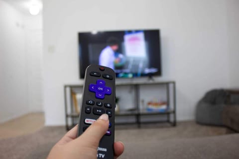 Streaming happiness at your fingertips- Roku for your entertainment.