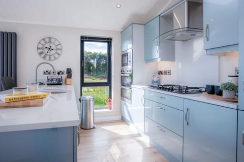 Swanlake Lodge - 3 Bedroom Holiday Home - Penally (16678)