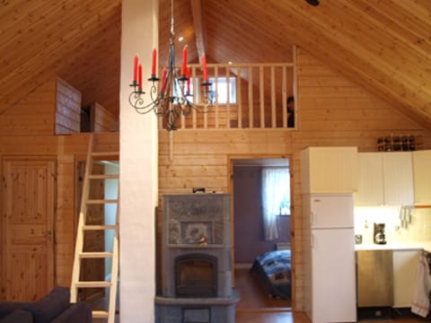 living area with open fire