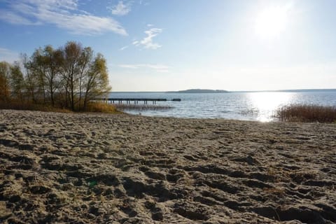 On the beach