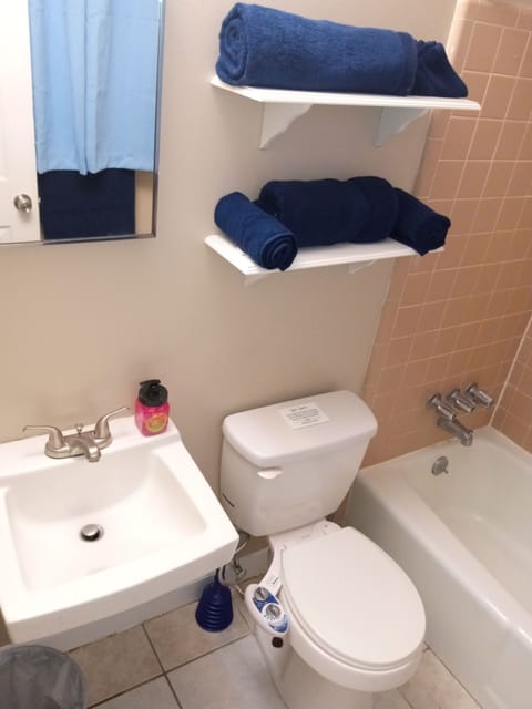 Hair dryer, bidet, towels, toilet paper