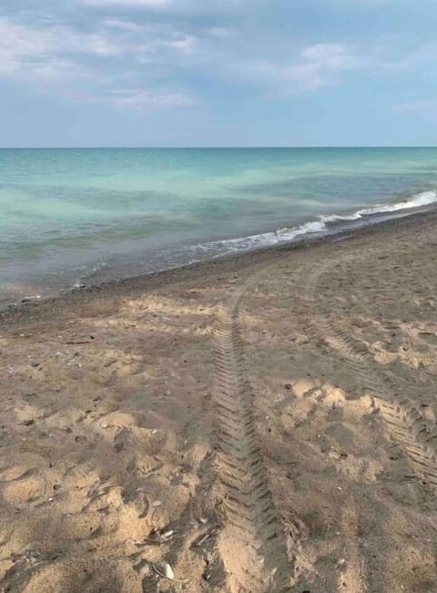 Beach nearby, sun loungers, beach towels