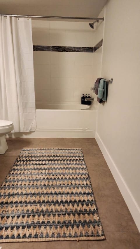 Combined shower/tub, hair dryer, towels, soap