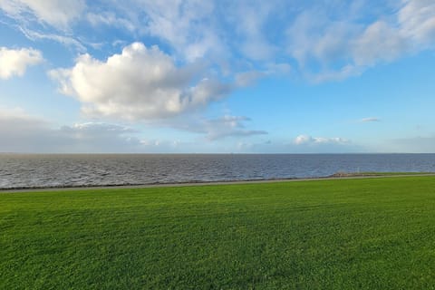 Immediate Surroundings [summer] (<1 km)