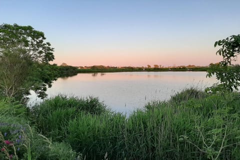 Immediate Surroundings [summer] (&lt;1 km)