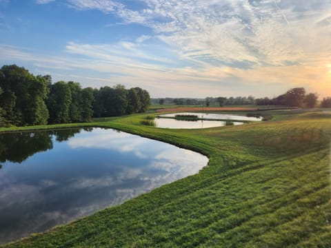 A few more of our ponds