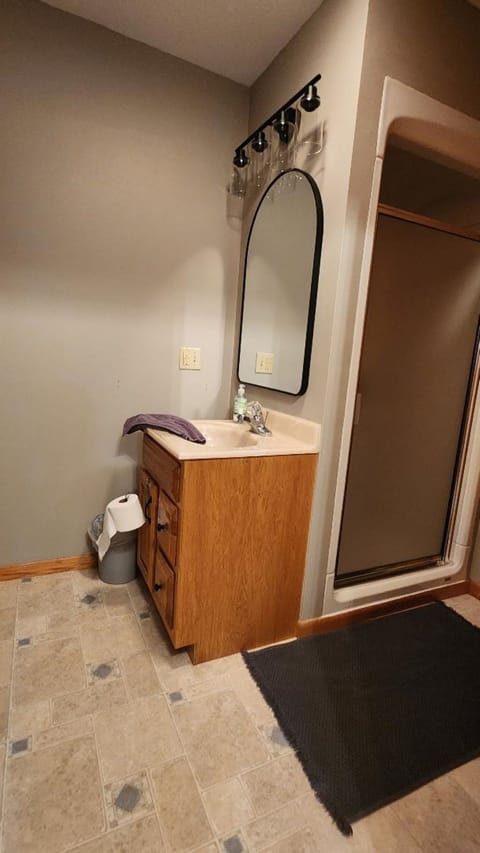 Shower, jetted tub, hair dryer, towels