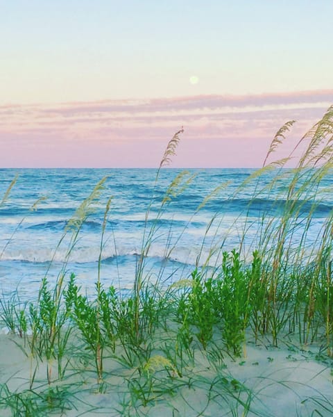 Beach/ocean view