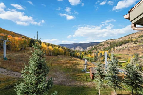 1697052616566-1721-8