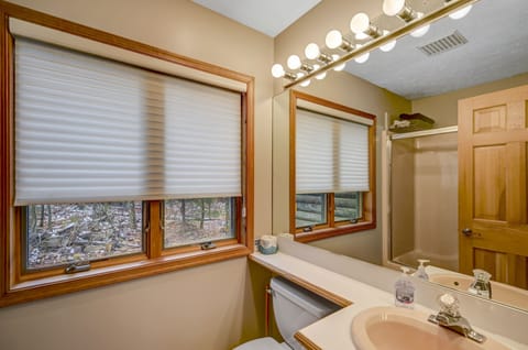 Bathtub, jetted tub, hair dryer, towels