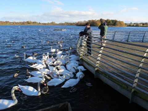 Hogganfield Loch