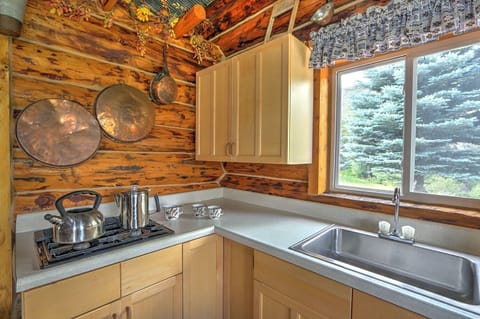 Kitchen with stove, sink and beautiful view
