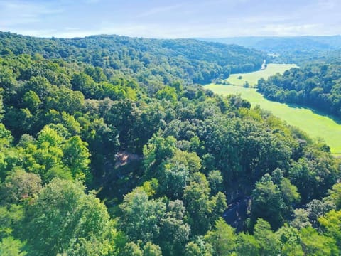 Aerial View of Our Wooded, Secluded Property