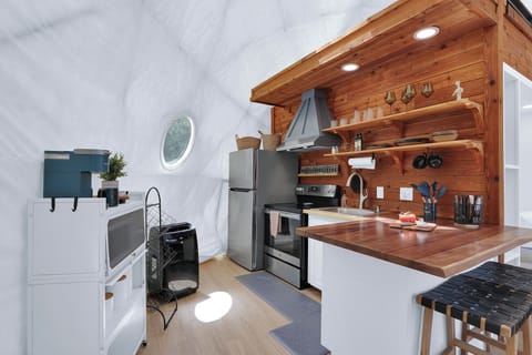 Kitchen view showting the range with oven and refrigerator.