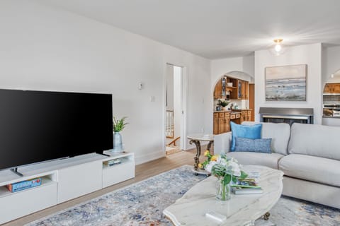 65" smart tv in the living room