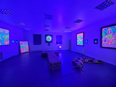 Large 8m x 8m gallery with 2 windows, or well lit including UV light