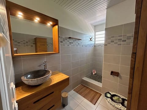 Combined shower/tub, hair dryer, bidet, towels