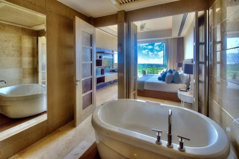 Shower, jetted tub, hair dryer, towels