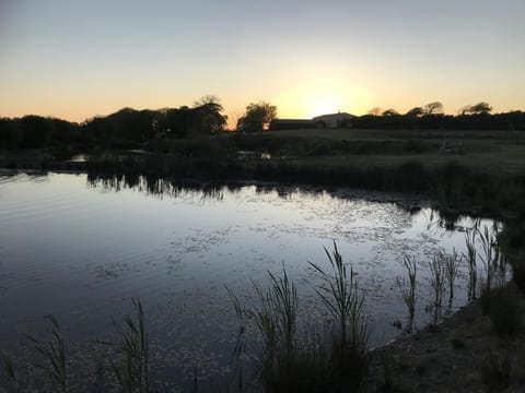 American Airstream - Blossom Farm - Tiers Cross (18092)