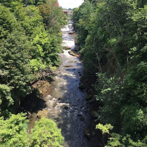 The Cuyahoga River runs through Cuyahoga Falls, giving the city its name and access to lots of outdoor activities.