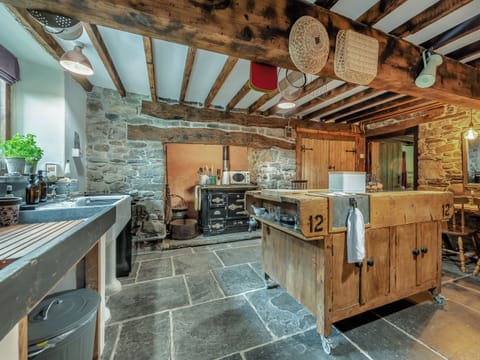 Kitchen | Ynywsen Dairy Flat, Nantgaredig