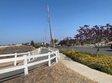 Morning trails 1 mile from home