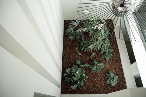 Green hues everywhere