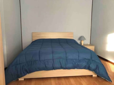 Iron/ironing board, bed sheets
