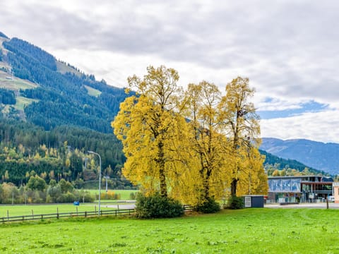 Surroundings [summer] (1-5 km)