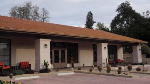 RVO_2_Main_Gallery_2020_3