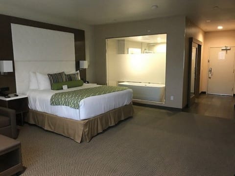 ClubWyndhamAnaheim_a7