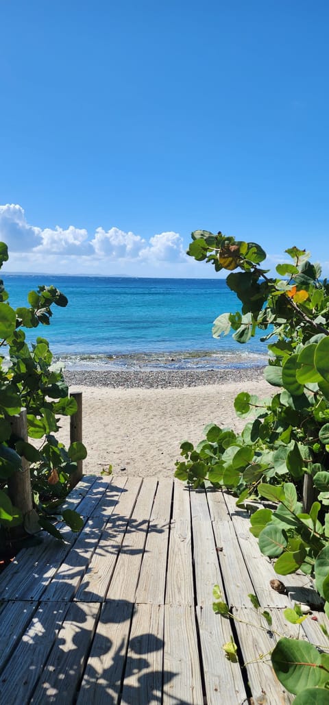 Beach nearby, sun loungers, beach towels